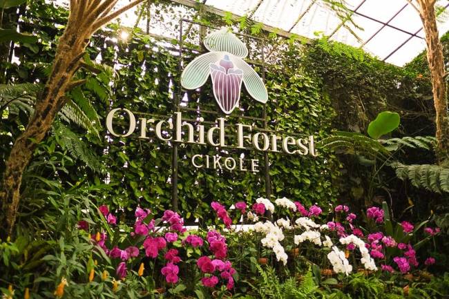Menikmati Udara Segar di Orchid Forest Cikole dengan Hiace yang Luas